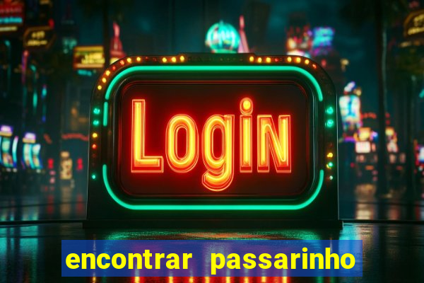 encontrar passarinho morto significado